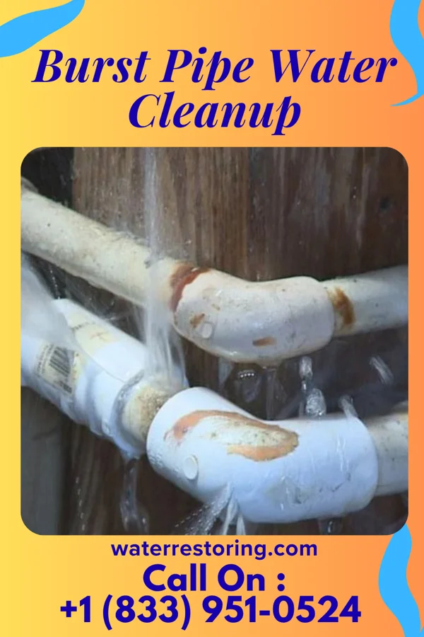 Burst Pipe Water Cleanup in Garrison, MD