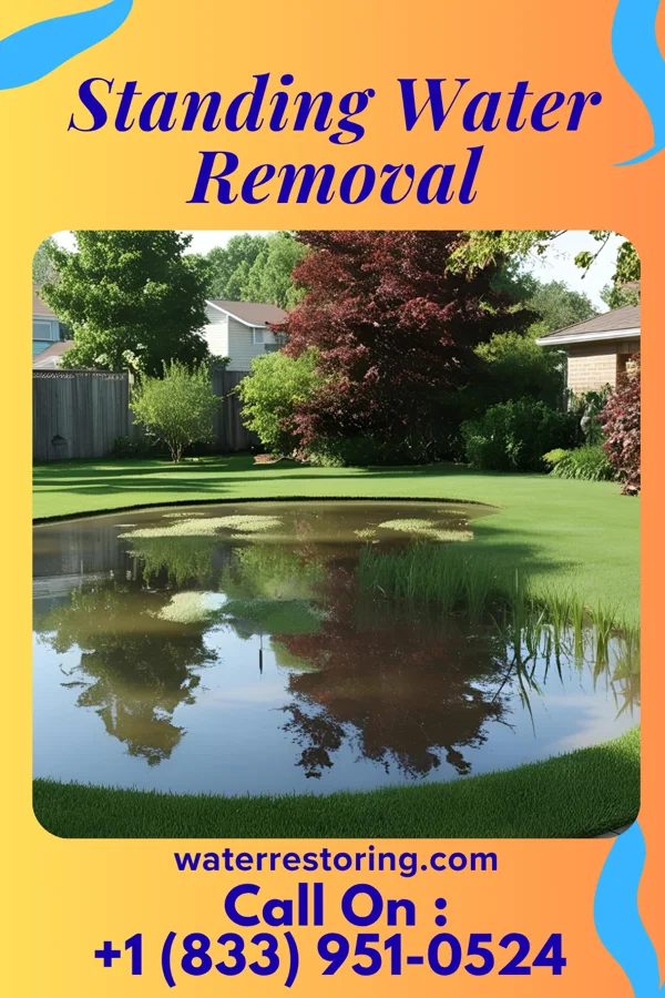 Standing Water Removal in Garrison, MD